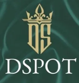 D SPOT MENS FASHION HUB logo